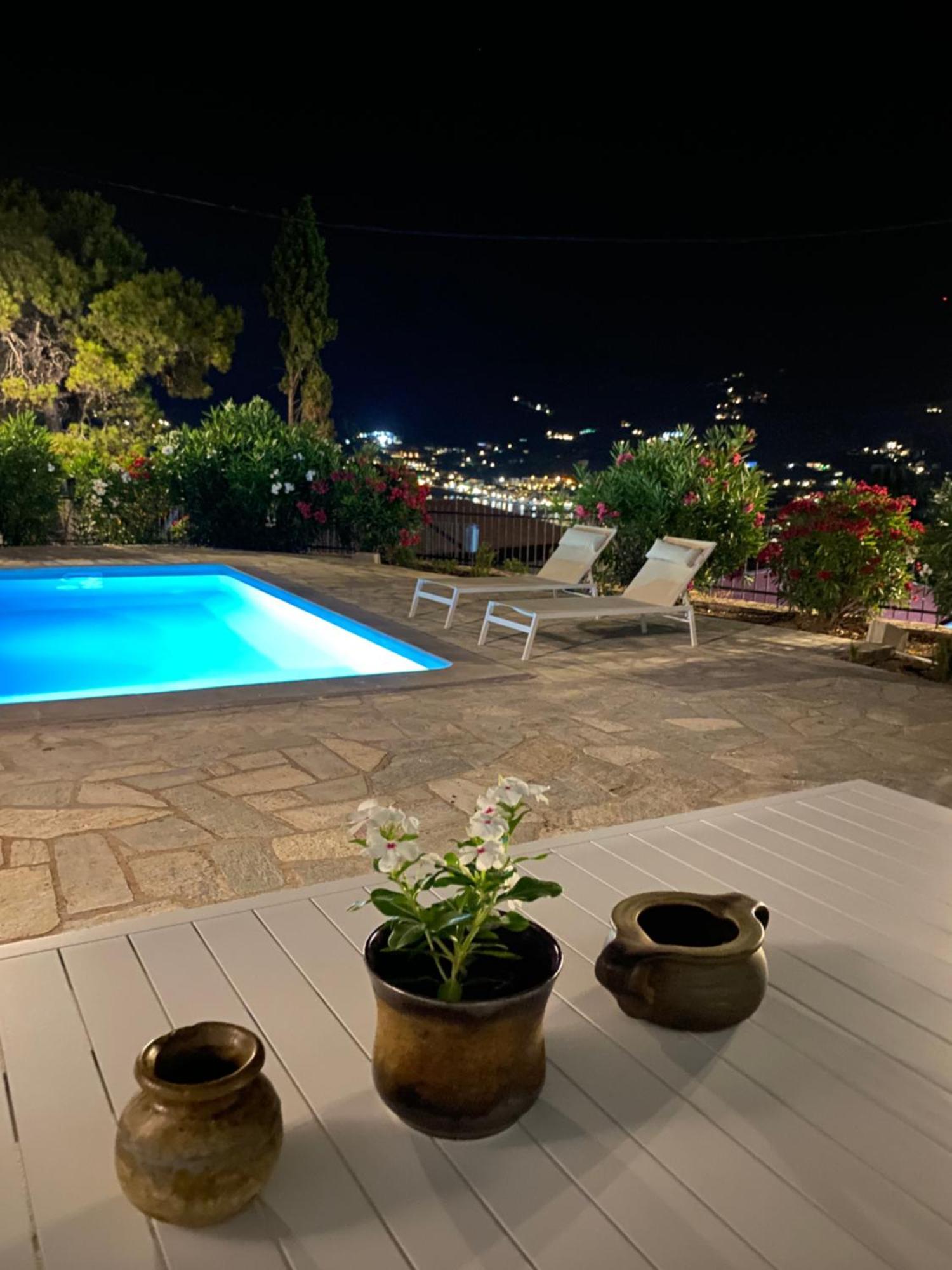Villa Icelle Skopelos Town Sea View Swimming Pool Exterior photo